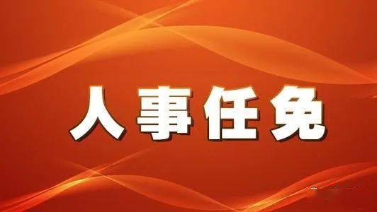 公司部分经理层人员任免